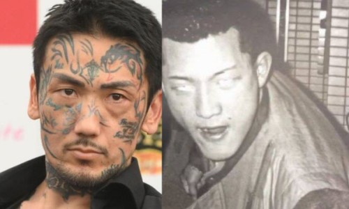 金边吊兰的功效专区_金边吊怎么养专区_金边吊功效网