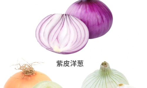 金边吊兰的功效专区_金边吊怎么养专区_金边吊功效网