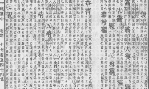 金边吊兰花的养殖方法和注意事项-金边吊兰的功效专区_金边吊怎么养专区_金边吊功效网